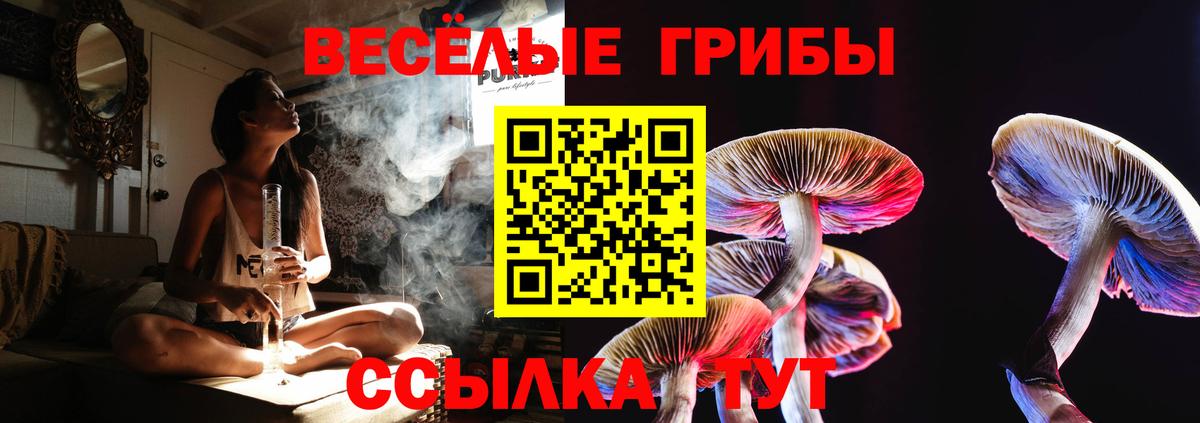 Псилоцибиновые грибы Magic Shrooms Бугуруслан